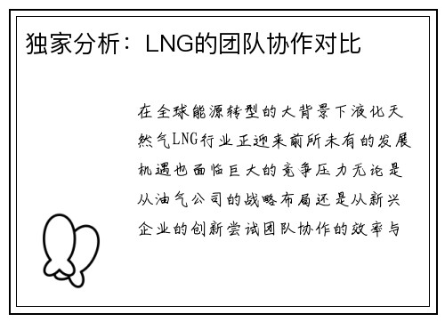 独家分析：LNG的团队协作对比